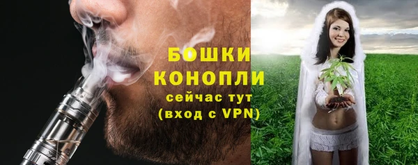 spice Алексин